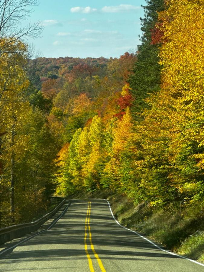 Sweden Valley Cabins Coudersport Exterior foto